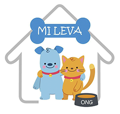 Mi Leva Ong