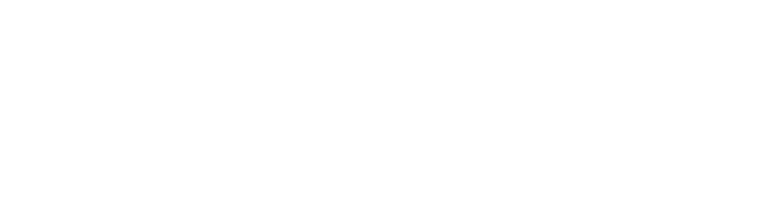 LogoMDNSB_branca
