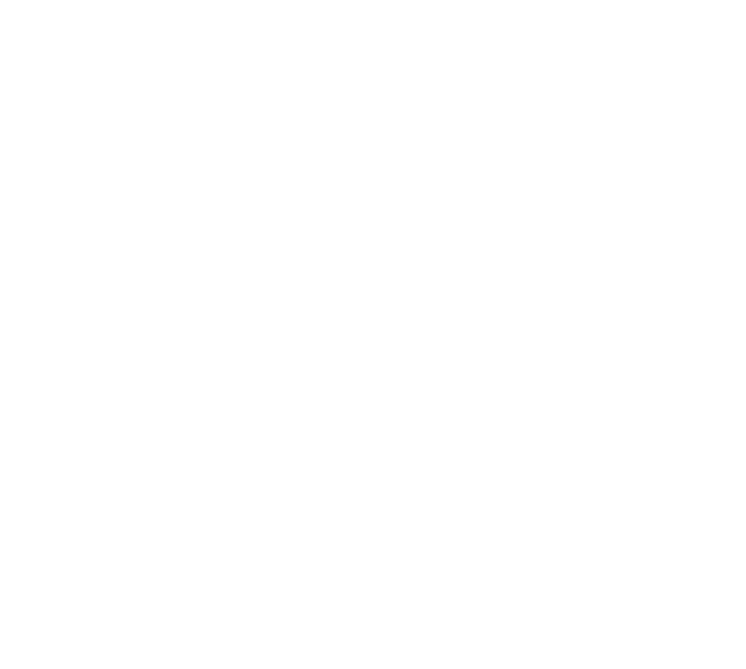 solo-iron_logotipo_2024_negativo